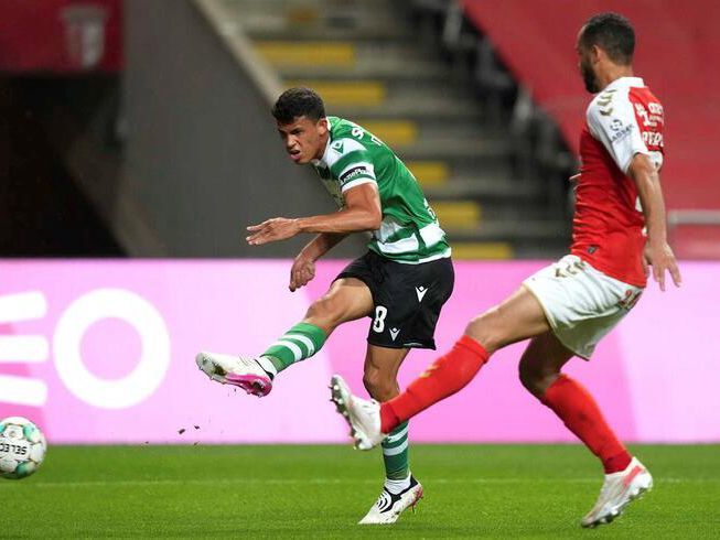 投入与信任 投入与信任