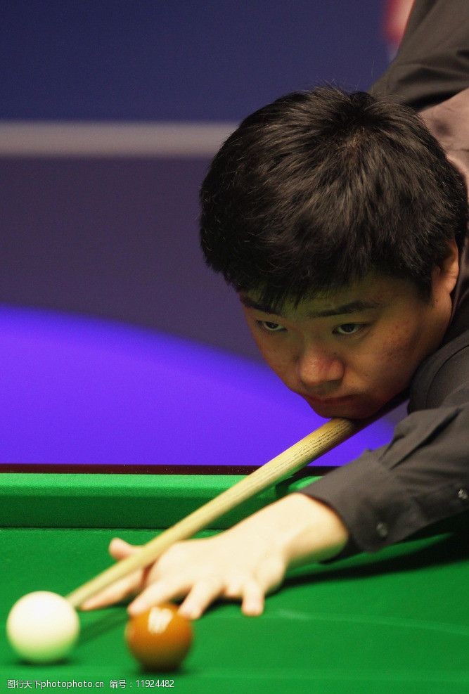 盯着别人游 盯着别人游